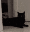 return_flip